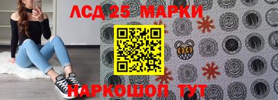 молекула духа Будённовск