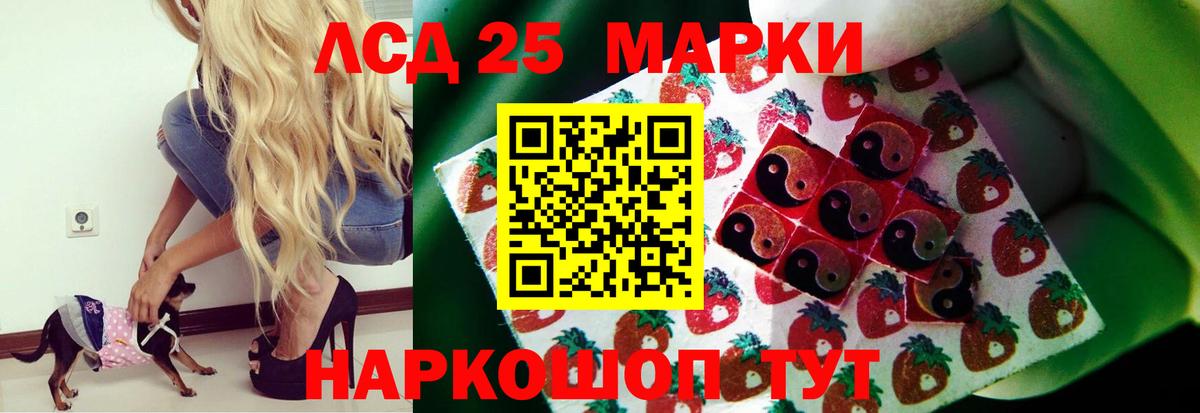 LSD-25 экстази ecstasy  Вход с VPN  LSD-25 экстази кислота  Моздок 