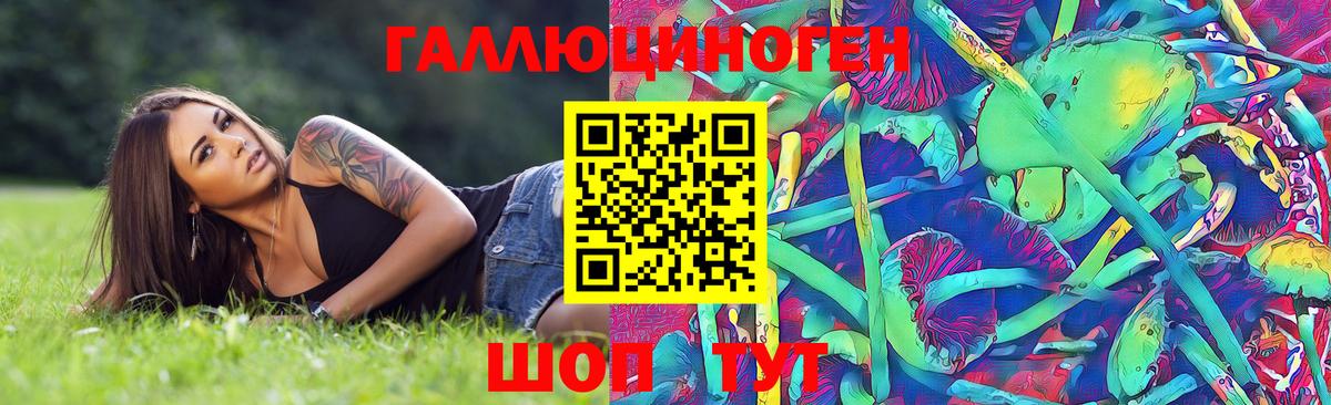 Моздок  Псилоцибиновые грибы Psilocybine cubensis  Вход с VPN 